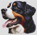 (image for) Bernese Mountain Dog 4